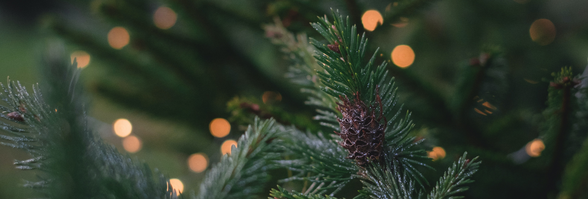 Happy Holidays from your local flooring store in IN