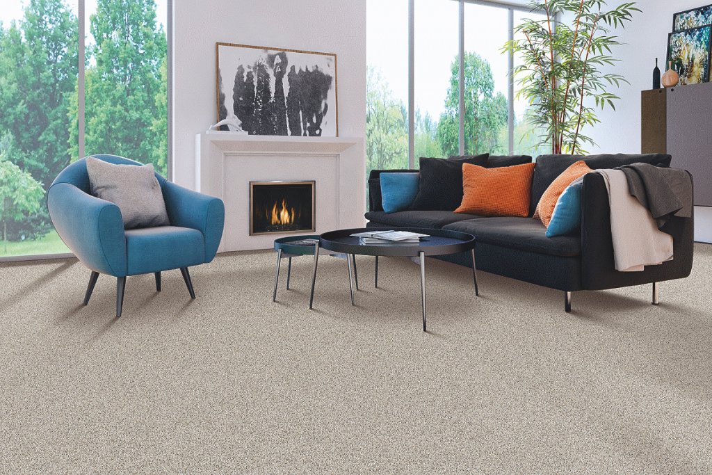 Bright modern living room with carpet flooring